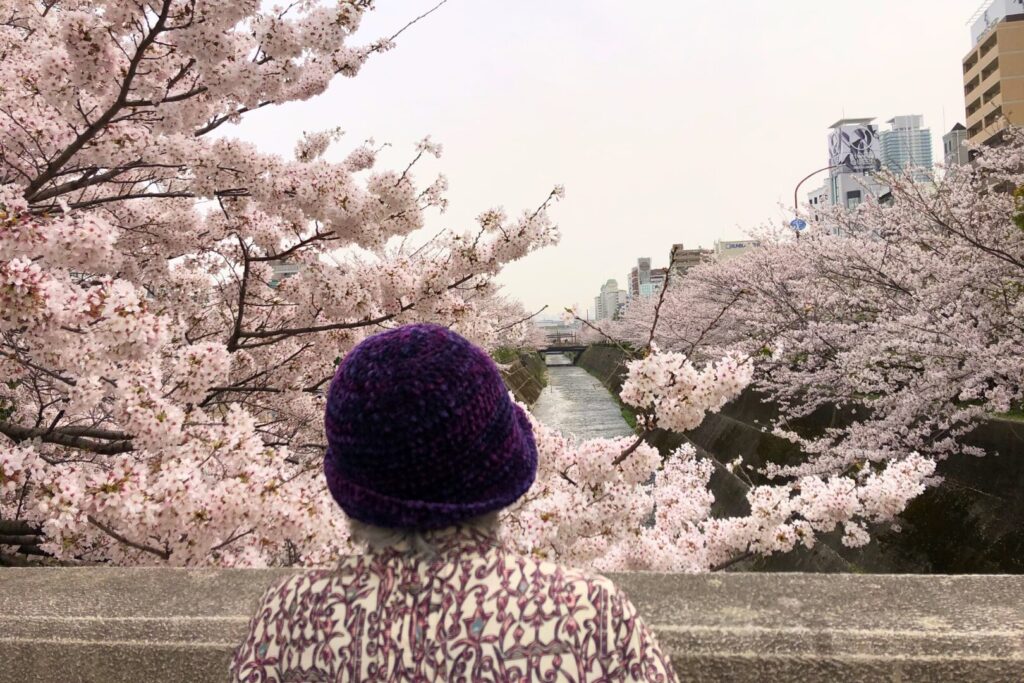 桜を見つめる高齢者